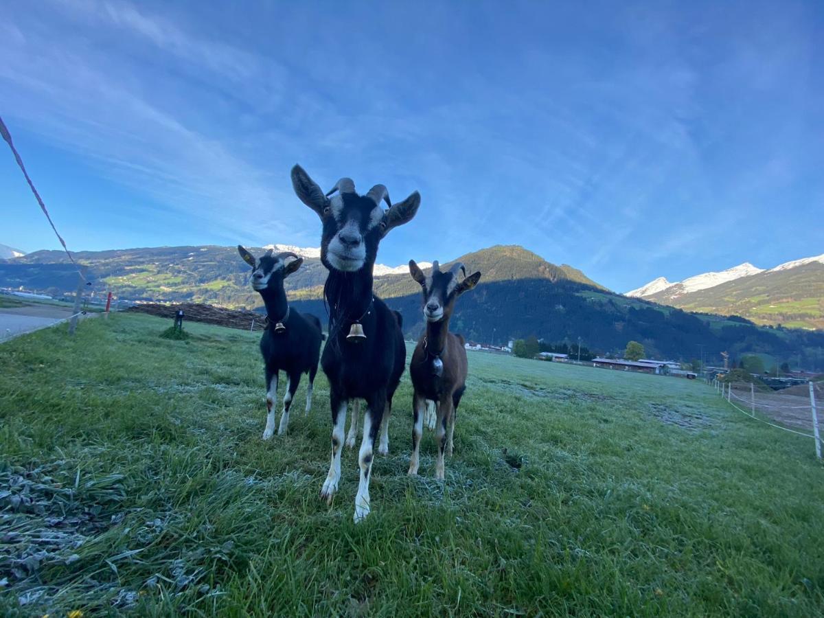 Hotel Standlhof Zillertal Uderns Esterno foto